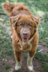 JACK - Photo 18
