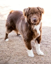 JACK - Photo 5