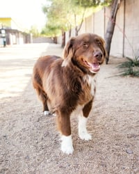 JACK - Photo 3
