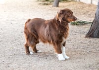 JACK - Photo 10