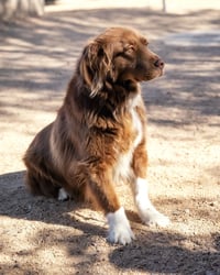 JACK - Photo 9