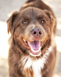 JACK - Photo 12