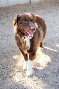 JACK - Photo 11