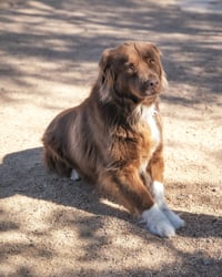 JACK - Photo 8