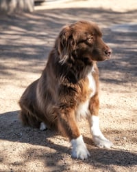 JACK - Photo 2