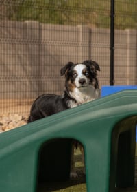 DAKOTA - Photo 7