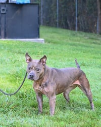 DA 9 Tina Luna - Photo 3