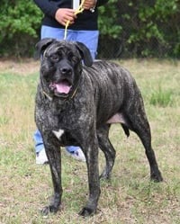 Kailey HHS RRP- JS - Photo 3