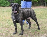 Kailey HHS RRP- JS - Photo 4