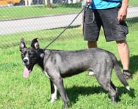 DA 14 Wally - Photo 3
