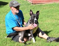DA 14 Wally - Photo 4