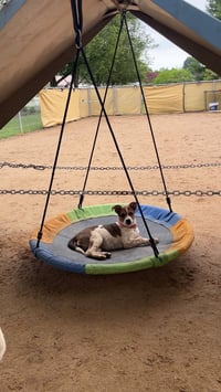 Carmie - Photo 3
