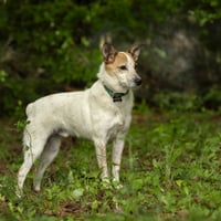 Max - Photo 3