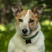 Max - Photo 5
