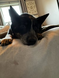 John Wayne - Photo 4