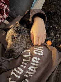 Lyla - Photo 4