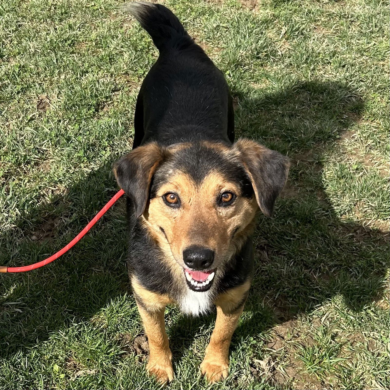 Cowboy 2026 - Photo 3