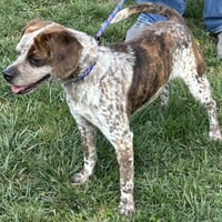 Freckles 2026 - Photo 2