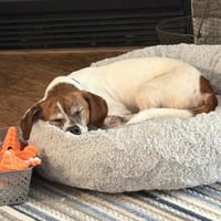 Texx - Photo 3