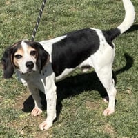 Boone 2026 - Photo 3