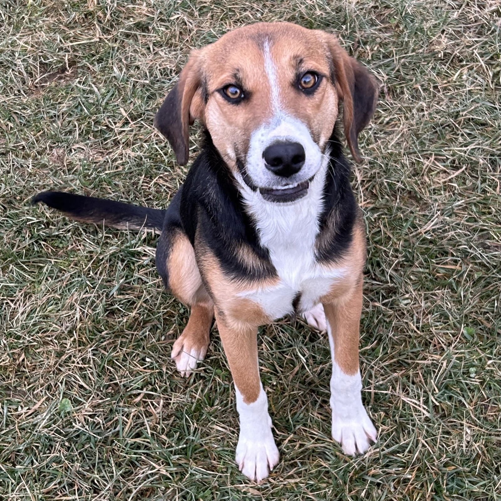 Truffles 2025 - Photo 3