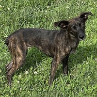 Kiki 2026 - Photo 1