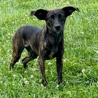 Kiki 2026 - Photo 2