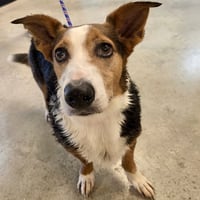 Buddy 2026 - Photo 2