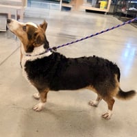 Buddy 2026 - Photo 3