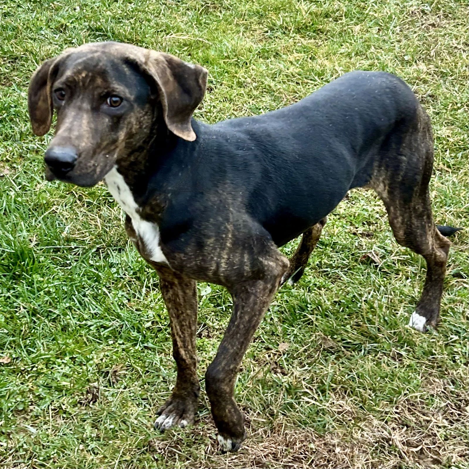 Phillip 2026 - Photo 3