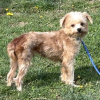 Miles 2026 - Photo 3