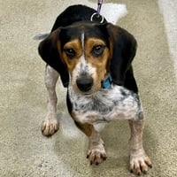 Deacon 2026 - Photo 3