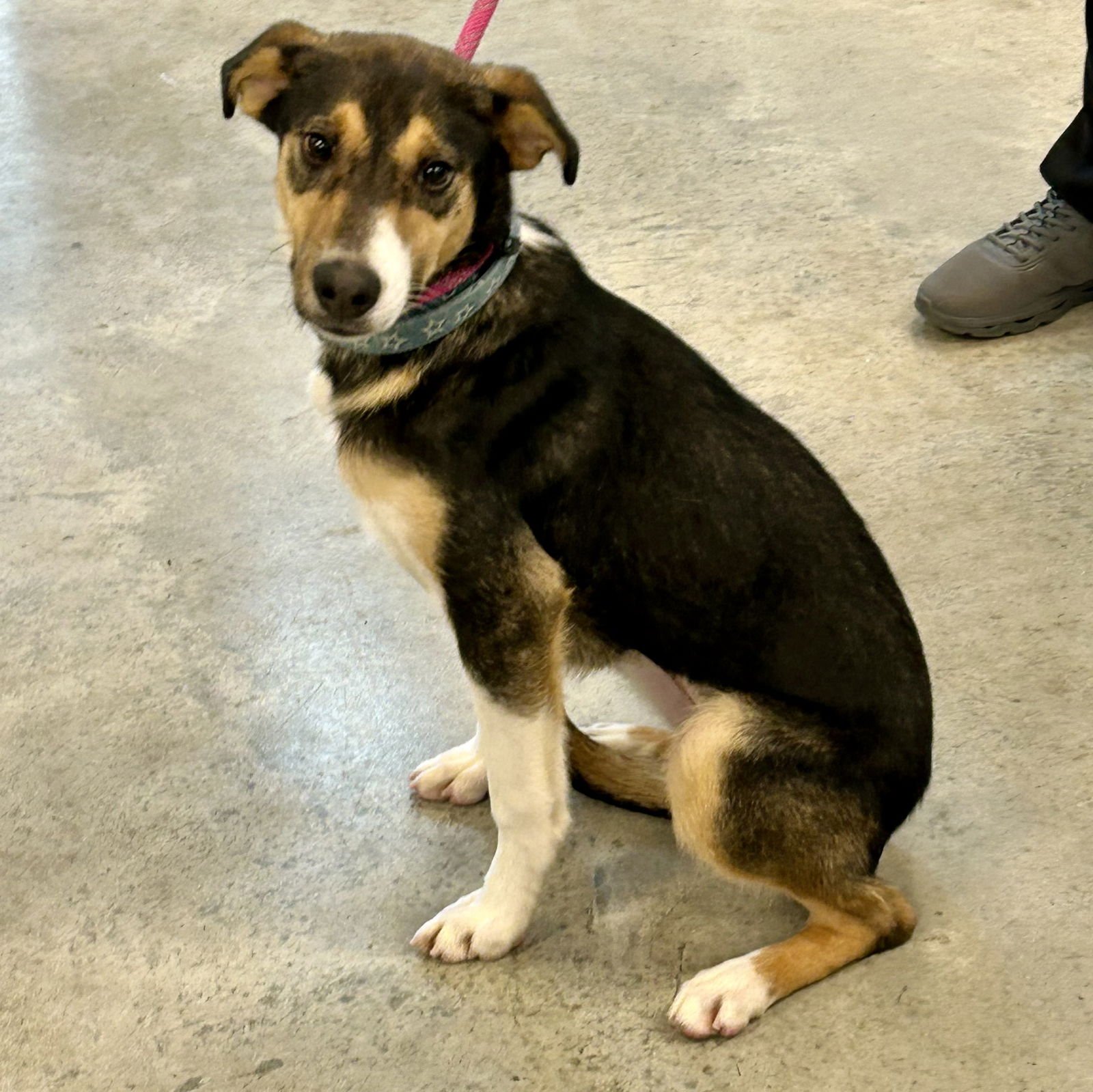 Lizzie 2026 - Photo 3