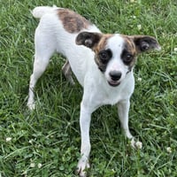 Jianna - Photo 2
