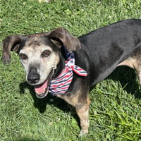 Lizzie 2026 - Photo 2