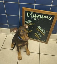Olympus - Photo 1