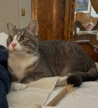 CARLY -STAR KAT - Sweet, Perfect, So FUN! :) - Photo 2