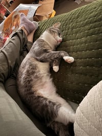 CARLY -STAR KAT - Sweet, Perfect, So FUN! :) - Photo 13