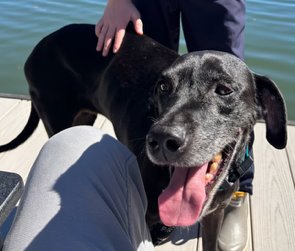 Tyson - Kid Approved! - Photo 3