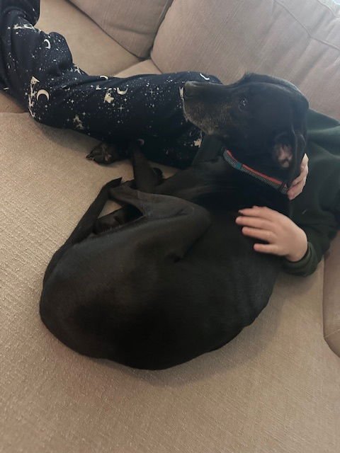 Tyson - Kid Approved! - Photo 4