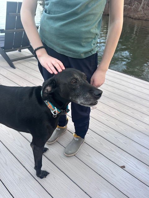 Tyson - Kid Approved! - Photo 5