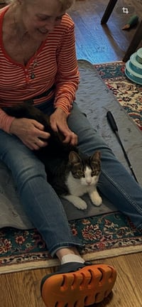 BETTY BOBTAIL -Beautiful! Sweet! BIG presence - Photo 6