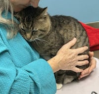 LARRY - Just Wants to be LOVED! - Photo 2