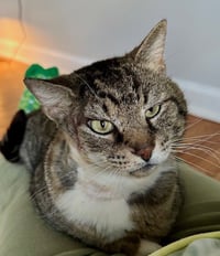 LARRY - Just Wants to be LOVED! - Photo 3