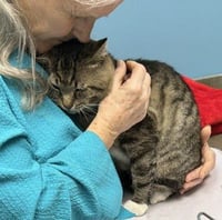 LARRY - Just Wants to be LOVED! - Photo 8
