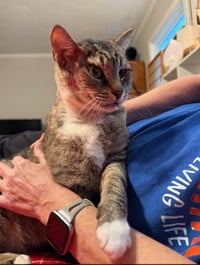 LARRY - Just Wants to be LOVED! - Photo 5