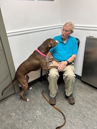 LUNA - Good Dogs Shouldn't Run Out of Time - Photo 4