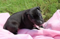 Donut - The Sweetest Little Hole Package! - Photo 2