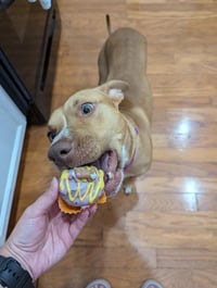 Honey - Photo 9