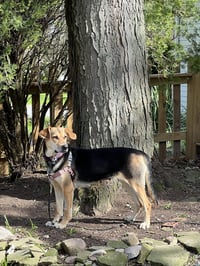 Gia - Photo 6